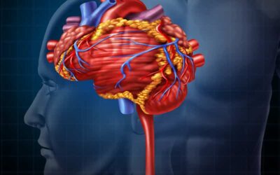 Medical Coding of Stroke and Stroke Risk Factors