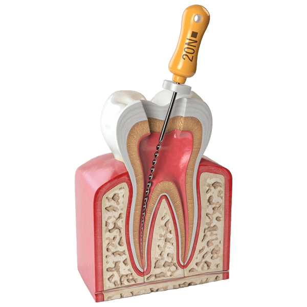 Seamless Dental Insurance Verification to Ensure Accurate Coverage