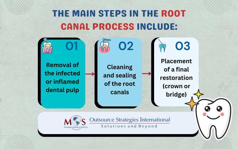 Main Steps in the Root Canal Process